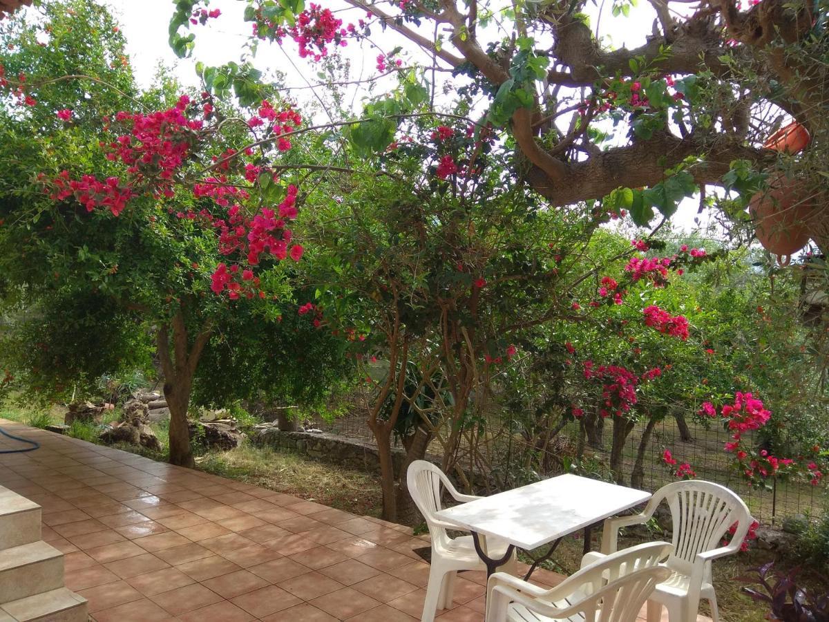 Ktima Tzamika Apartment Episkopi-Chania Екстериор снимка