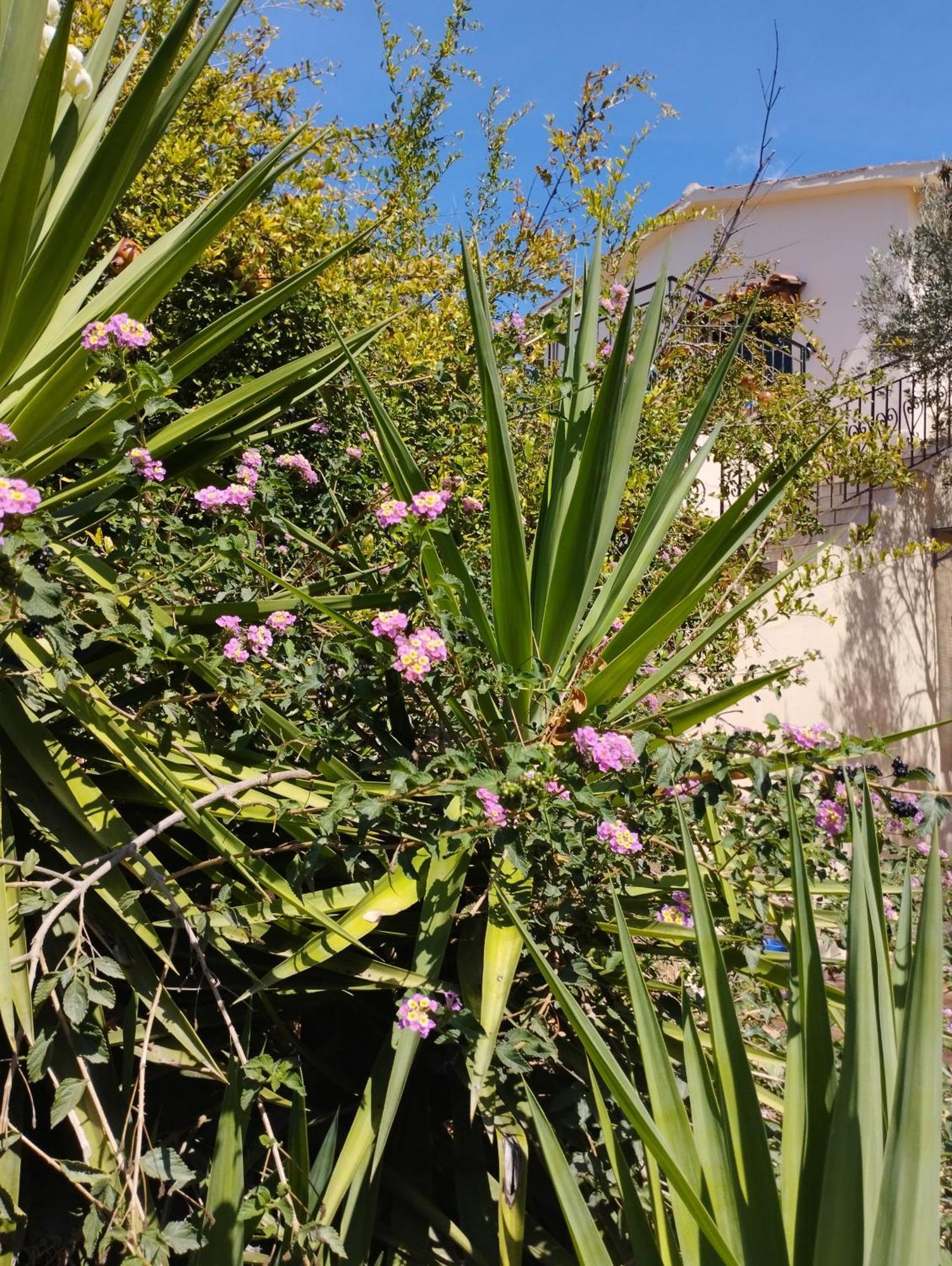 Ktima Tzamika Apartment Episkopi-Chania Екстериор снимка