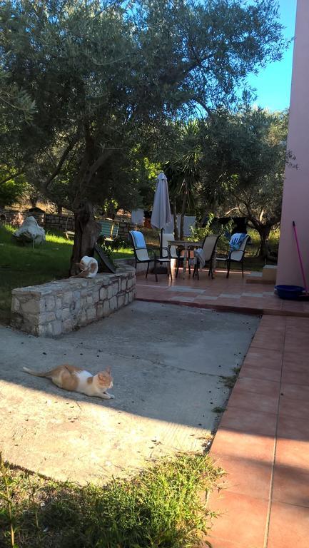 Ktima Tzamika Apartment Episkopi-Chania Екстериор снимка