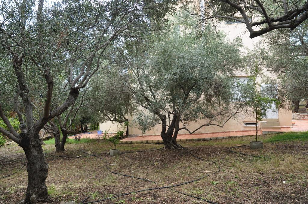 Ktima Tzamika Apartment Episkopi-Chania Екстериор снимка