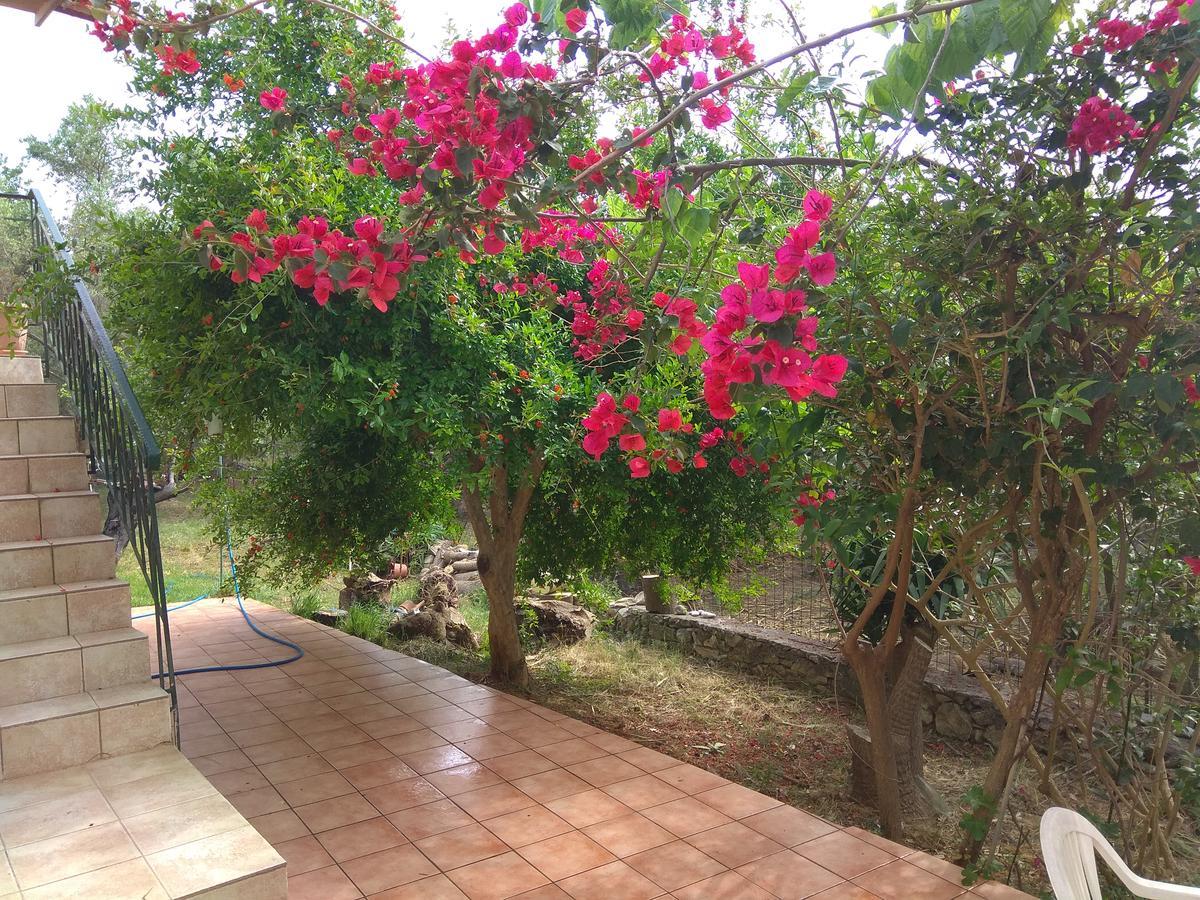 Ktima Tzamika Apartment Episkopi-Chania Екстериор снимка