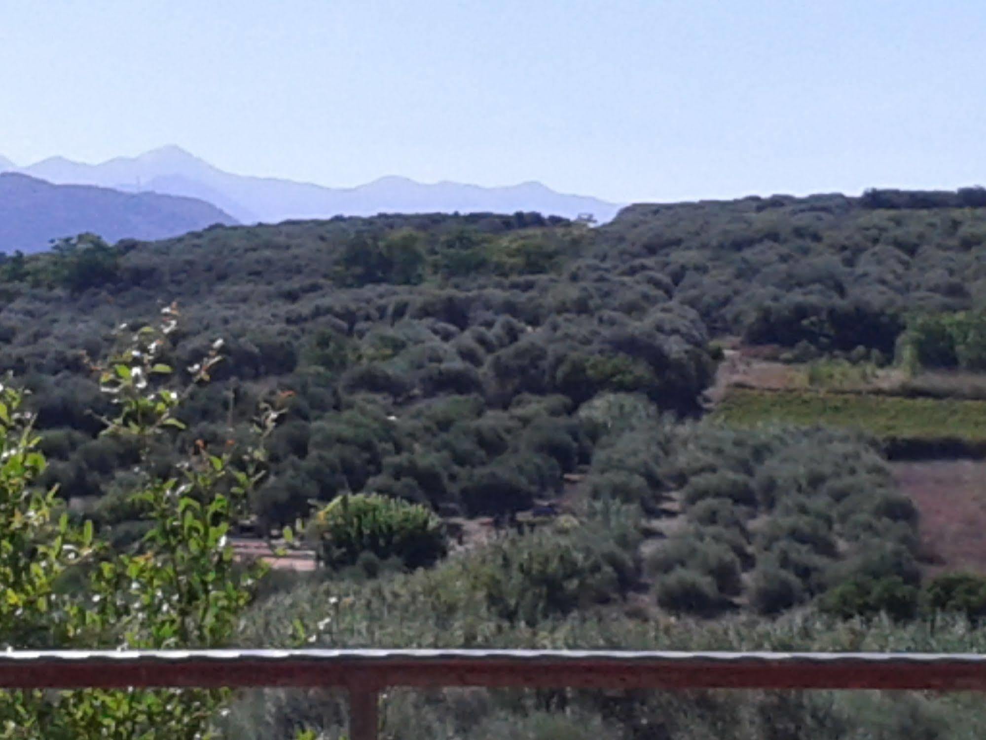 Ktima Tzamika Apartment Episkopi-Chania Екстериор снимка