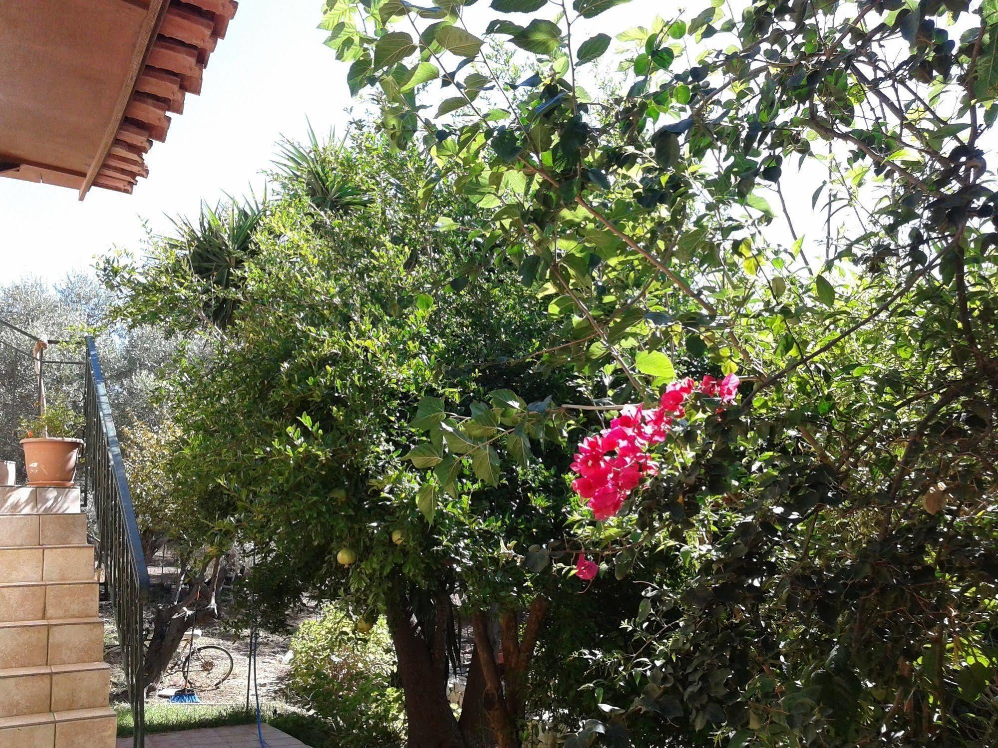 Ktima Tzamika Apartment Episkopi-Chania Екстериор снимка